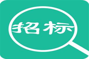 庙底沟博物馆工程桩基检测项目 自行采购公告